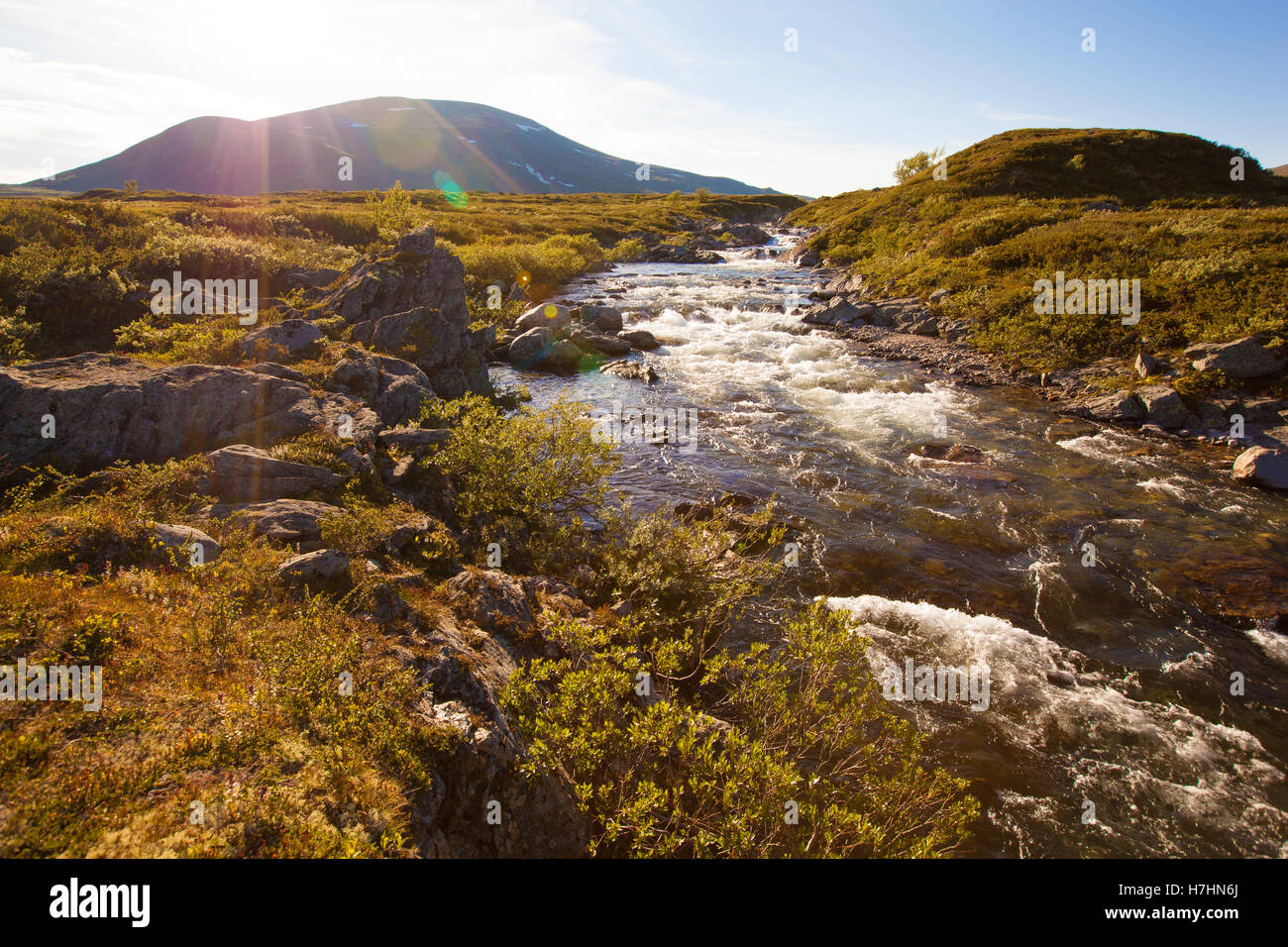 Paysage ensoleillé Norvège montagnes Dovrefjell river Banque D'Images