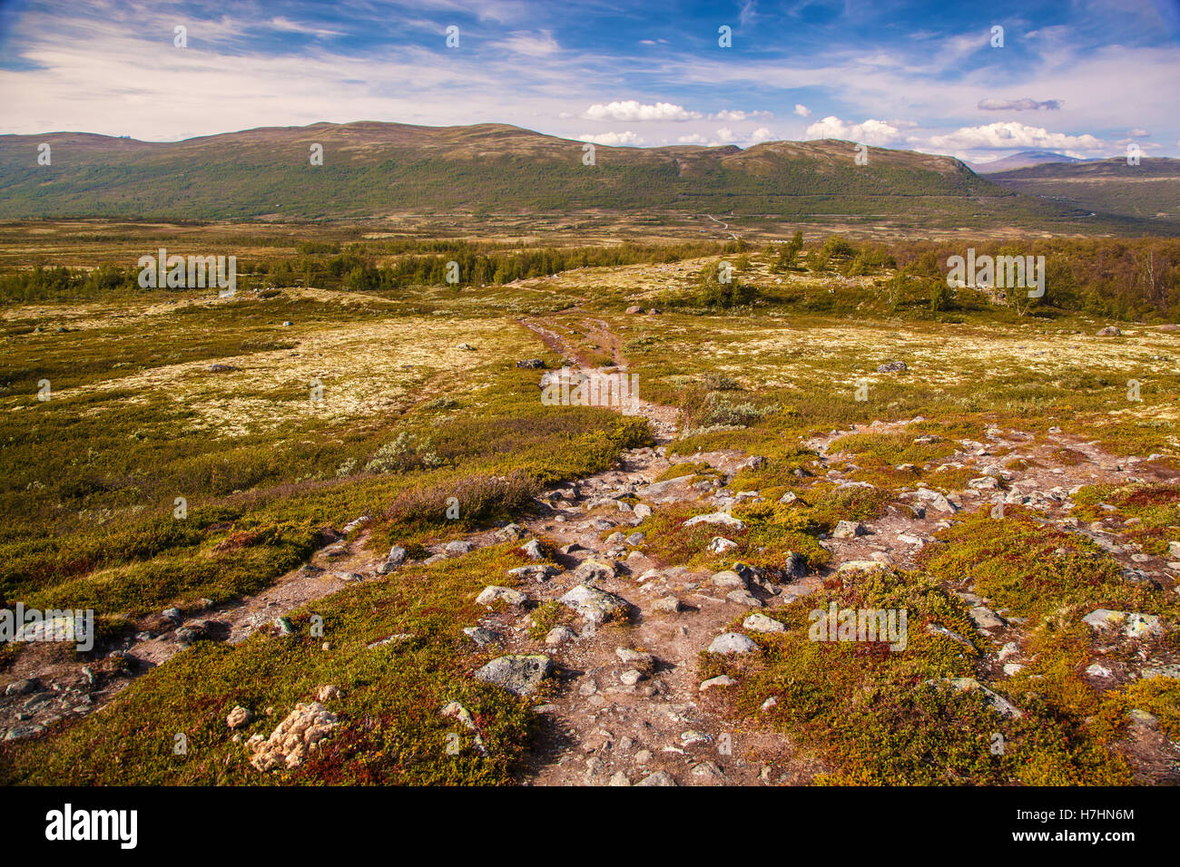 Paysage de montagne du parc national de Norvège Dovre Banque D'Images