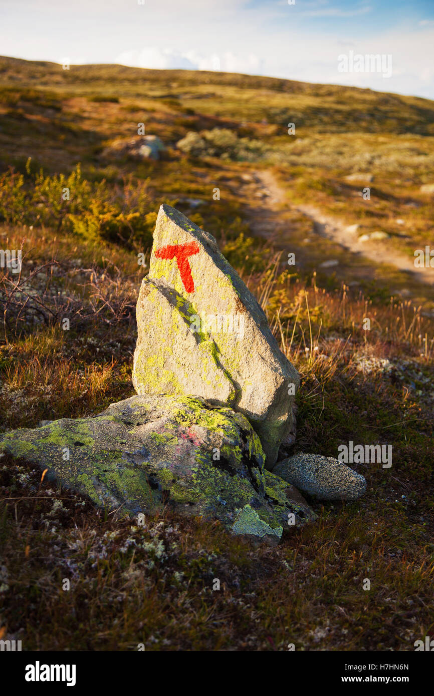 Signe T turistforening paysage de montagnes du parc national de Norvège Dovre Banque D'Images