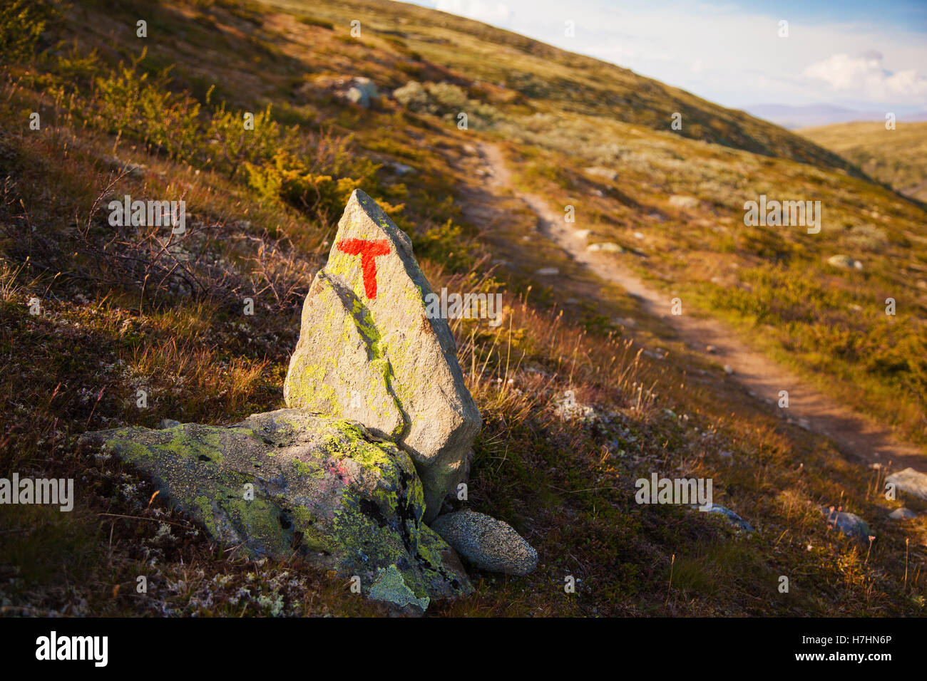 Signe T turistforening paysage de montagnes du parc national de Norvège Dovre Banque D'Images