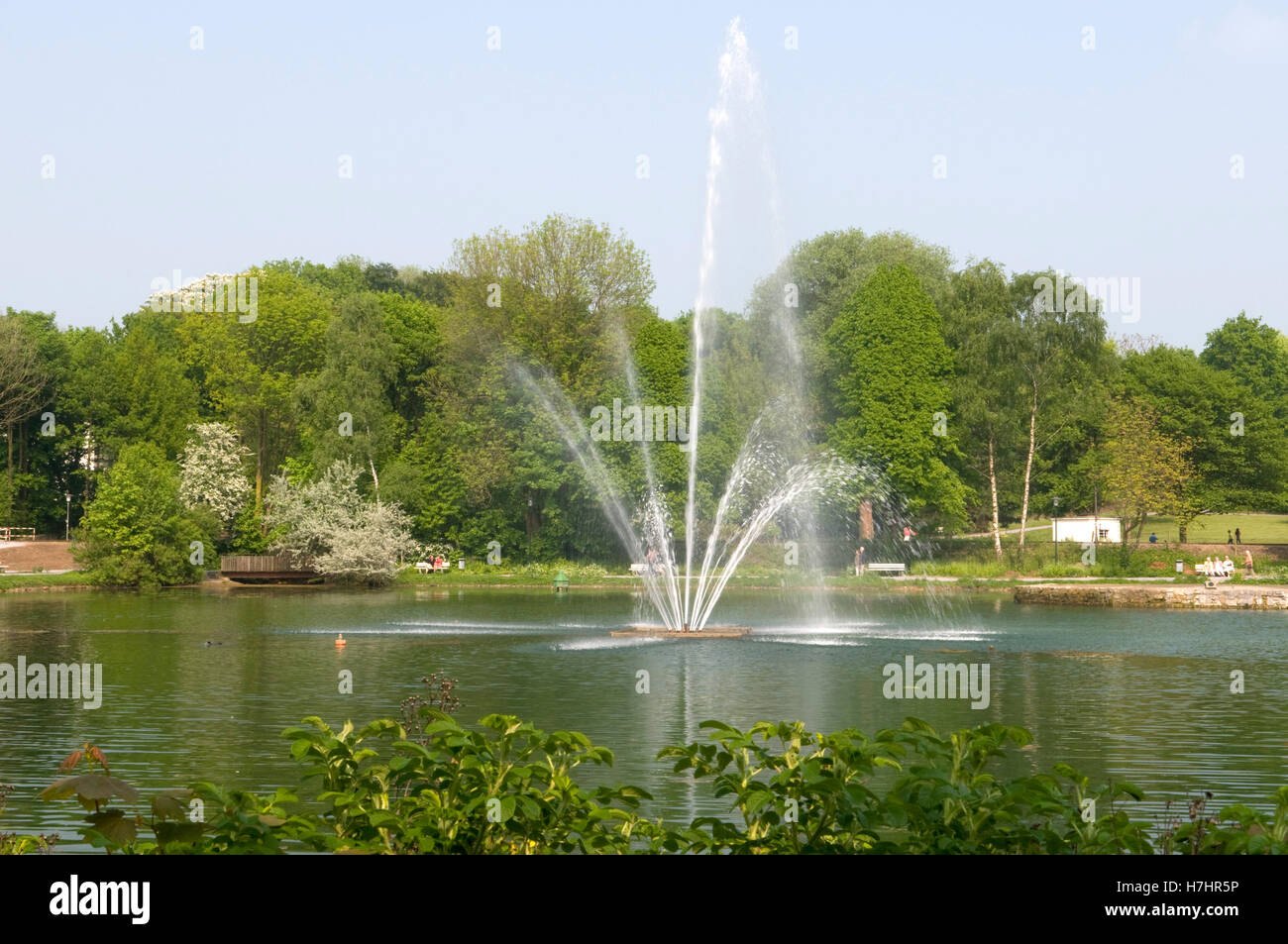 Glockensee lac dans les jardins du spa de Bad Laer, Basse-Saxe Banque D'Images