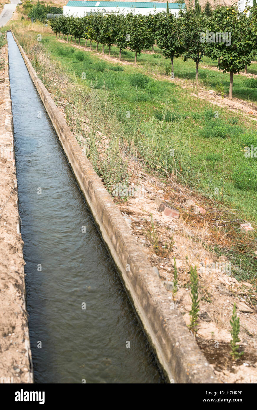 Canal d'irrigation et des arbres fruitiers en ligne Banque D'Images