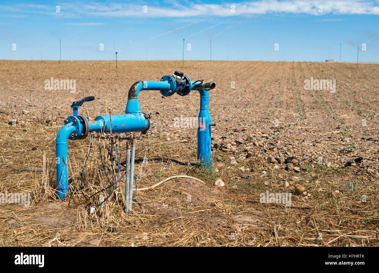 Les tuyaux de l'Agriculture et de l'eau du robinet pour l'arrosage des plantes Banque D'Images