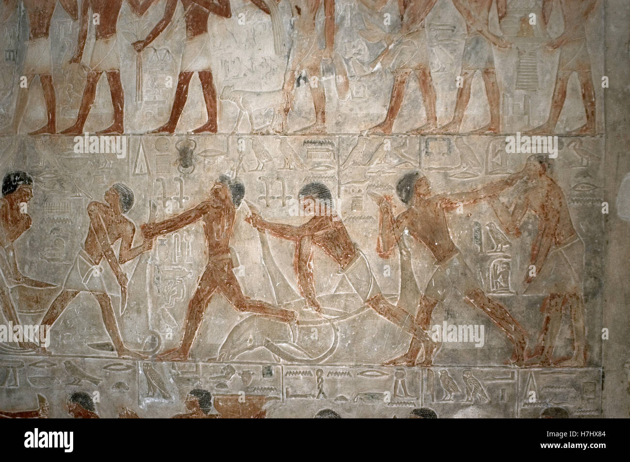 L'Égypte. Saqqara. Mastaba de Ptahhotep et Akhethotep. 5ème dynastie. Vieux Royaume. Vizirs égyptiens. Père et fils. Relief représentant le dépeçage des bœufs polychromes. Banque D'Images