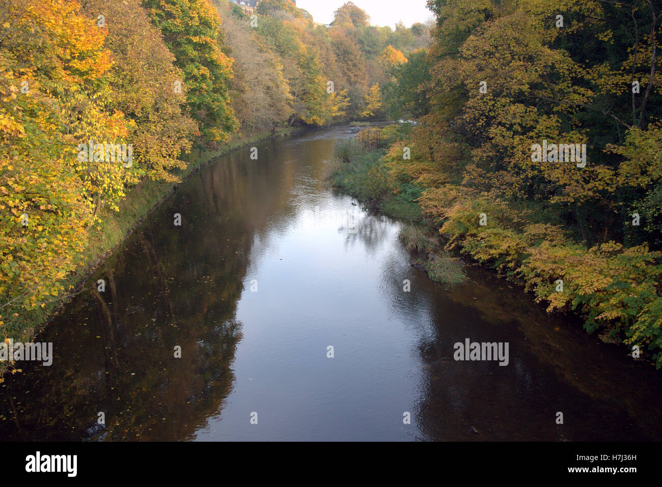 Rivière Kelvin sur une journée ensoleillée près de Queen Margaret Drive pont dans le parc de Kelvingrove, Glasgow, Ecosse, Royaume-Uni. Banque D'Images