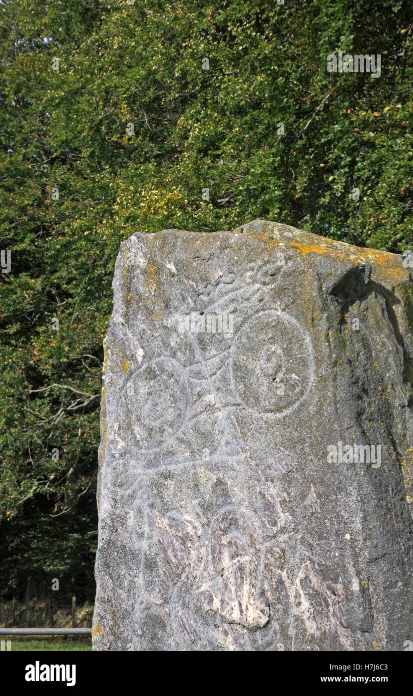 Détail de la sculpture sur pierre, la Picardie un symbole Picte standing stone près de landes, Aberdeenshire, Ecosse, Royaume-Uni. Banque D'Images