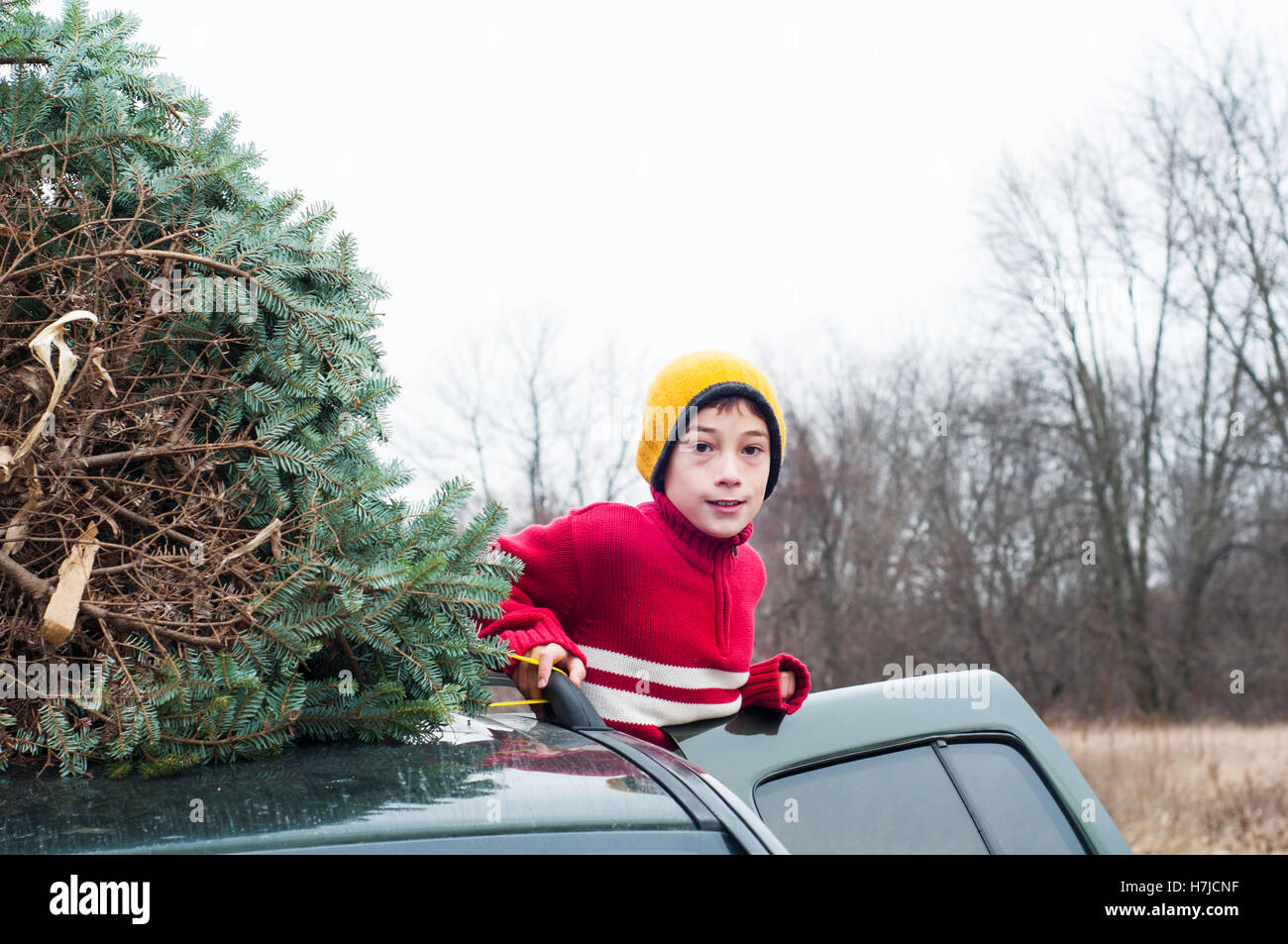 Garçon avec un arbre de Noël frais sur le toit d'une voiture Banque D'Images