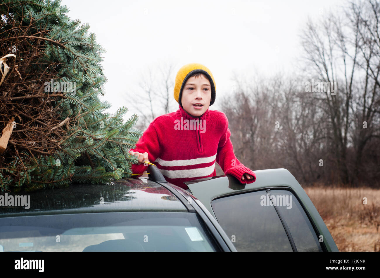 Garçon avec un arbre de Noël frais sur le toit d'une voiture Banque D'Images