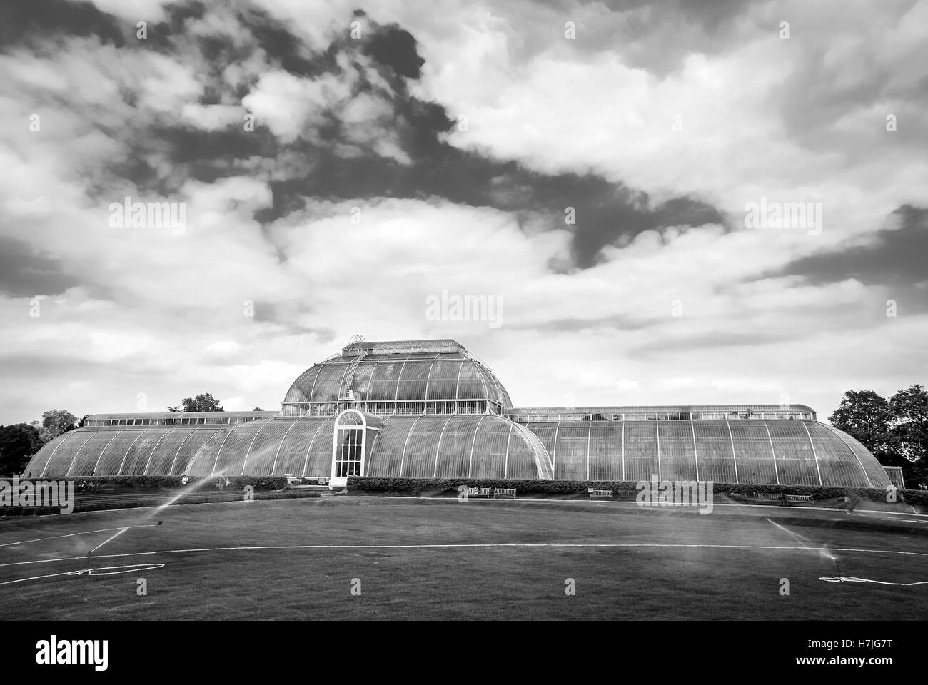 Palm House, Kew Gardens Banque D'Images