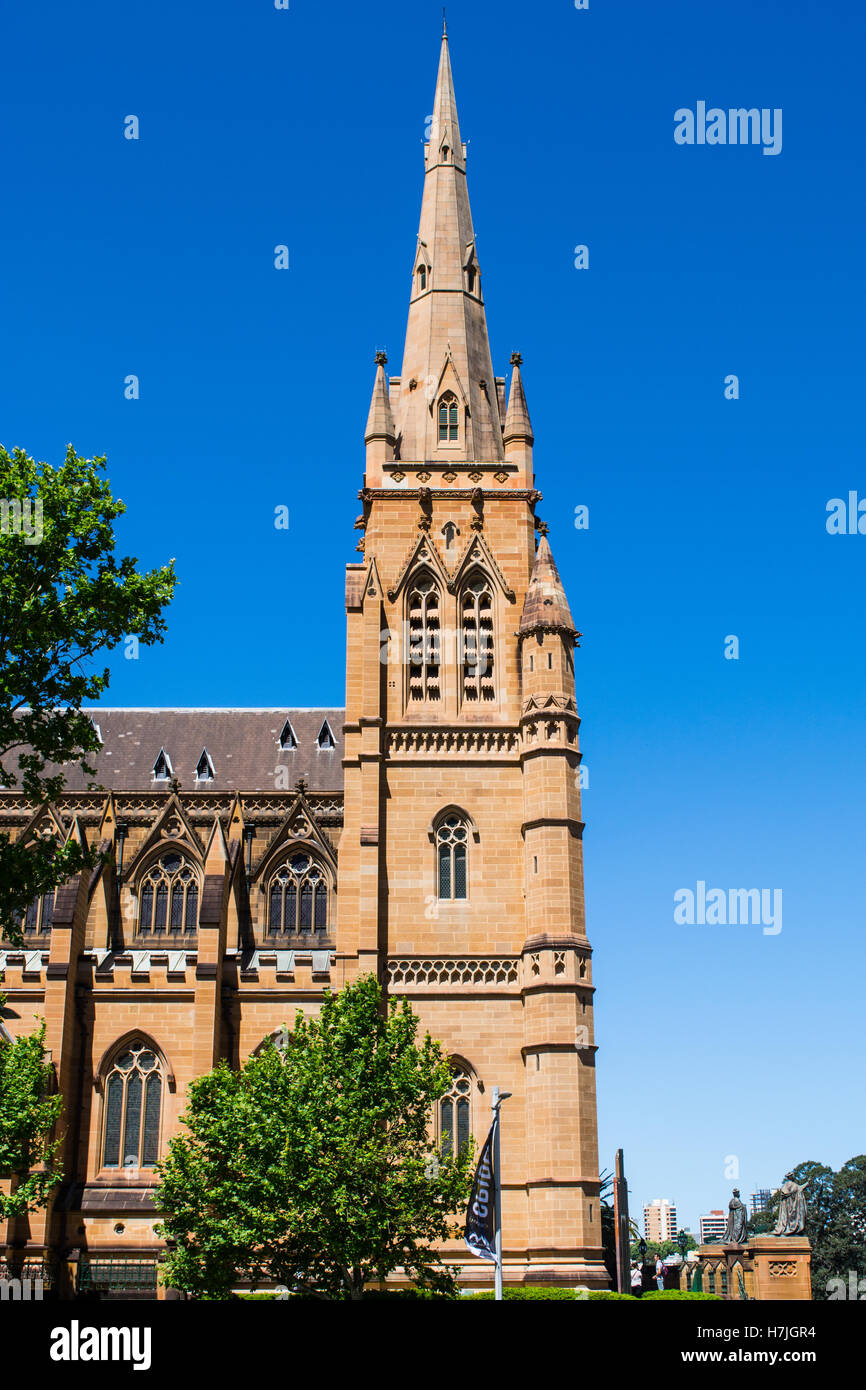 Cathédrale St Marys Australie Sydney vue de Hyde Park Banque D'Images