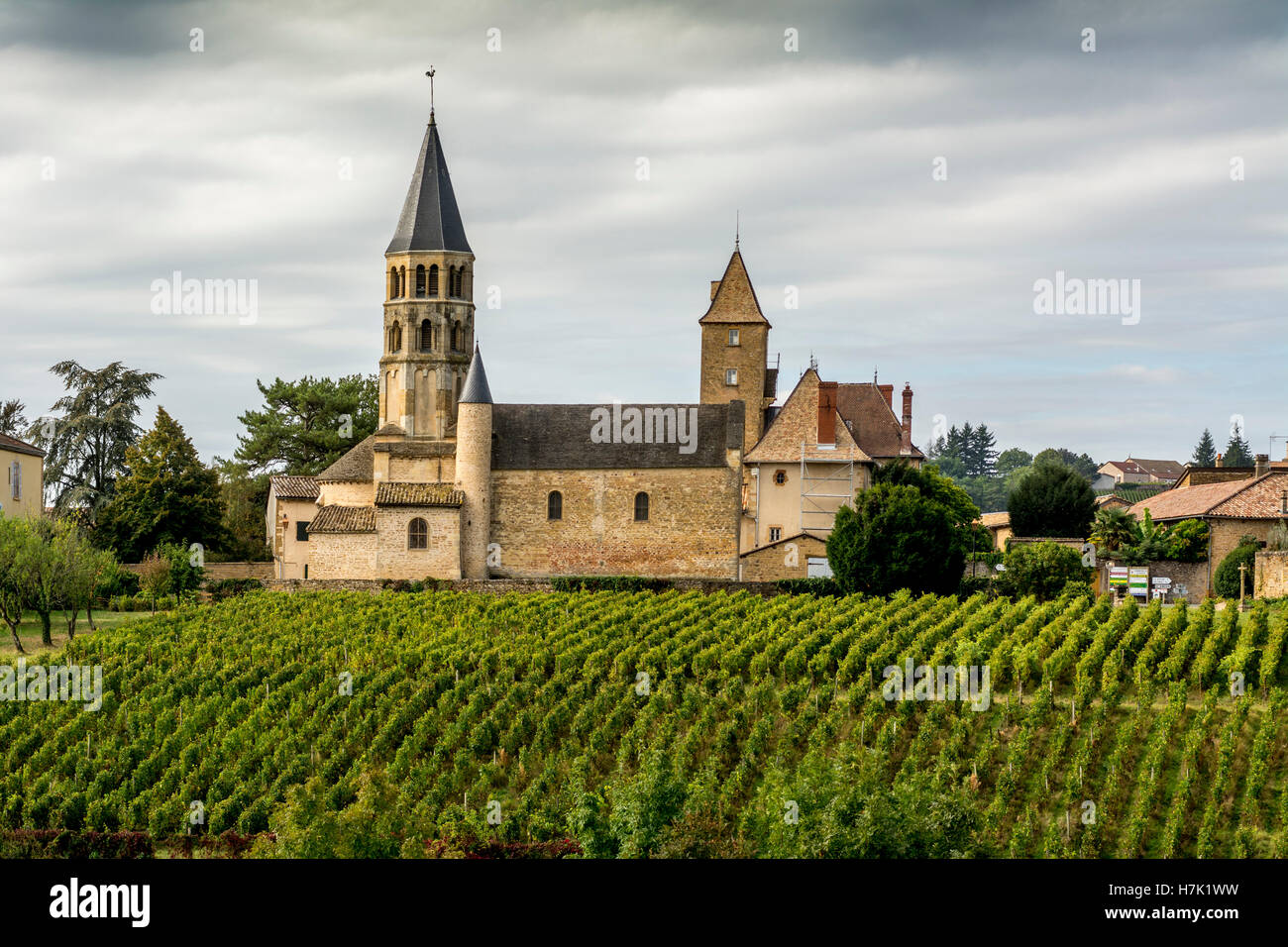 Église romane de Chânes et sa vigne, Bourgogne, Saône-et-Loire, France, Europe Banque D'Images