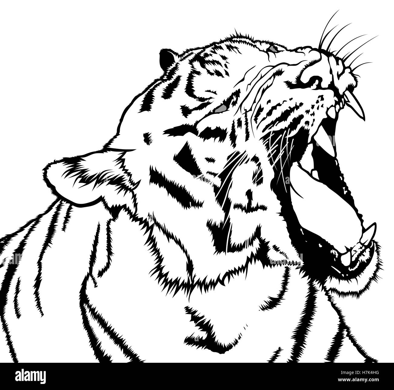 Tigre rugissant Illustration de Vecteur