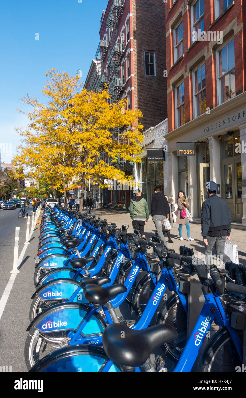 Une ligne d'un service de location de vélos Vélo Citi sur une rue de la ville de New York à l'automne Banque D'Images