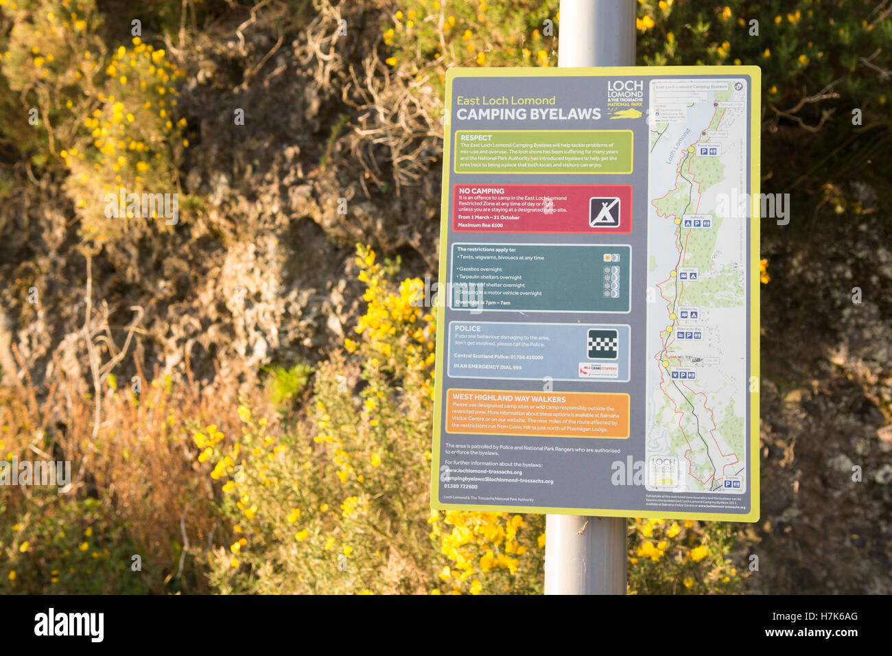 Loch Lomond est Camping Statuts informations inscription, Loch Lomond, Ecosse, UK, Europe, Banque D'Images