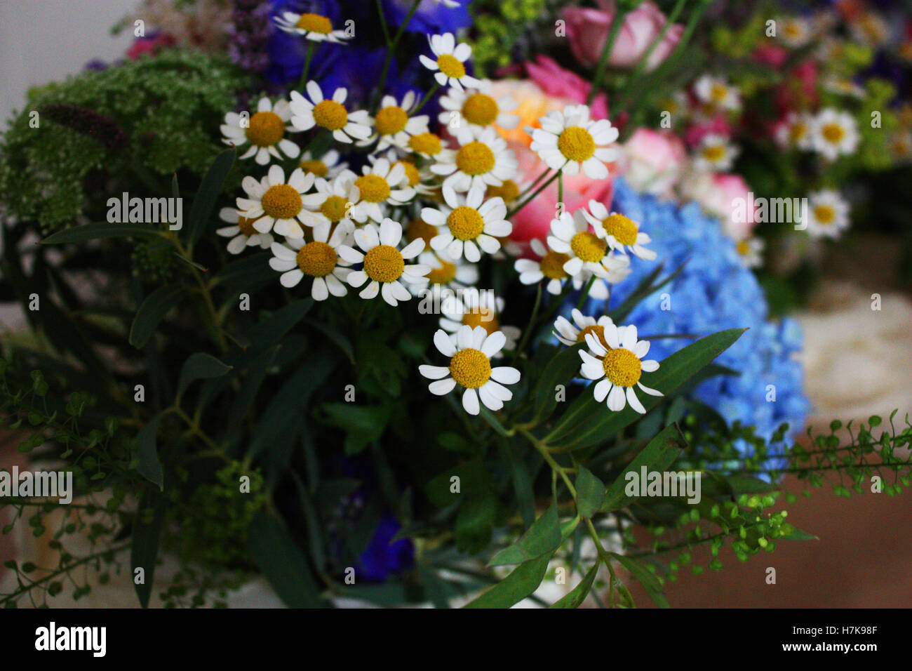 Fleurs sauvages aux couleurs vives de demoiselle d'honneur pour un mariage Banque D'Images