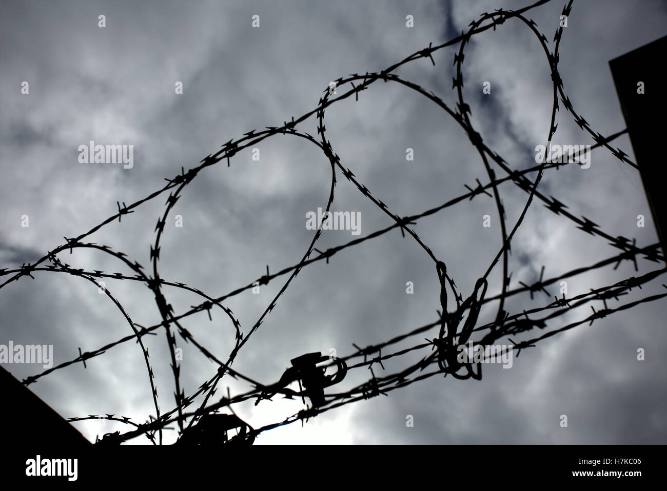 Rasoir en forme de coeur sur le fil barbelé ciel gris Banque D'Images