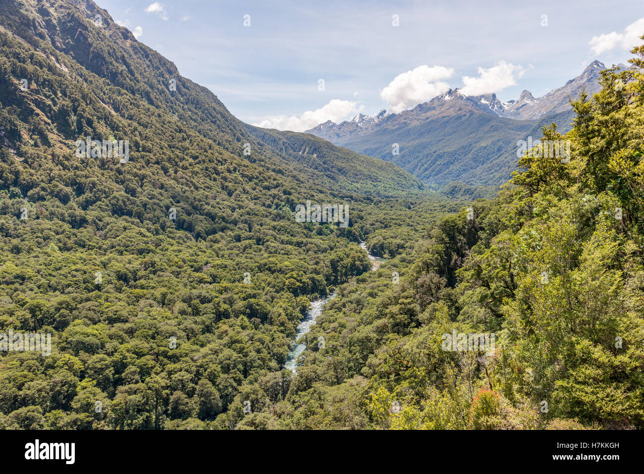 River Walley dans Parc National de Fiordland, Nouvelle-Zélande, île du Sud Banque D'Images