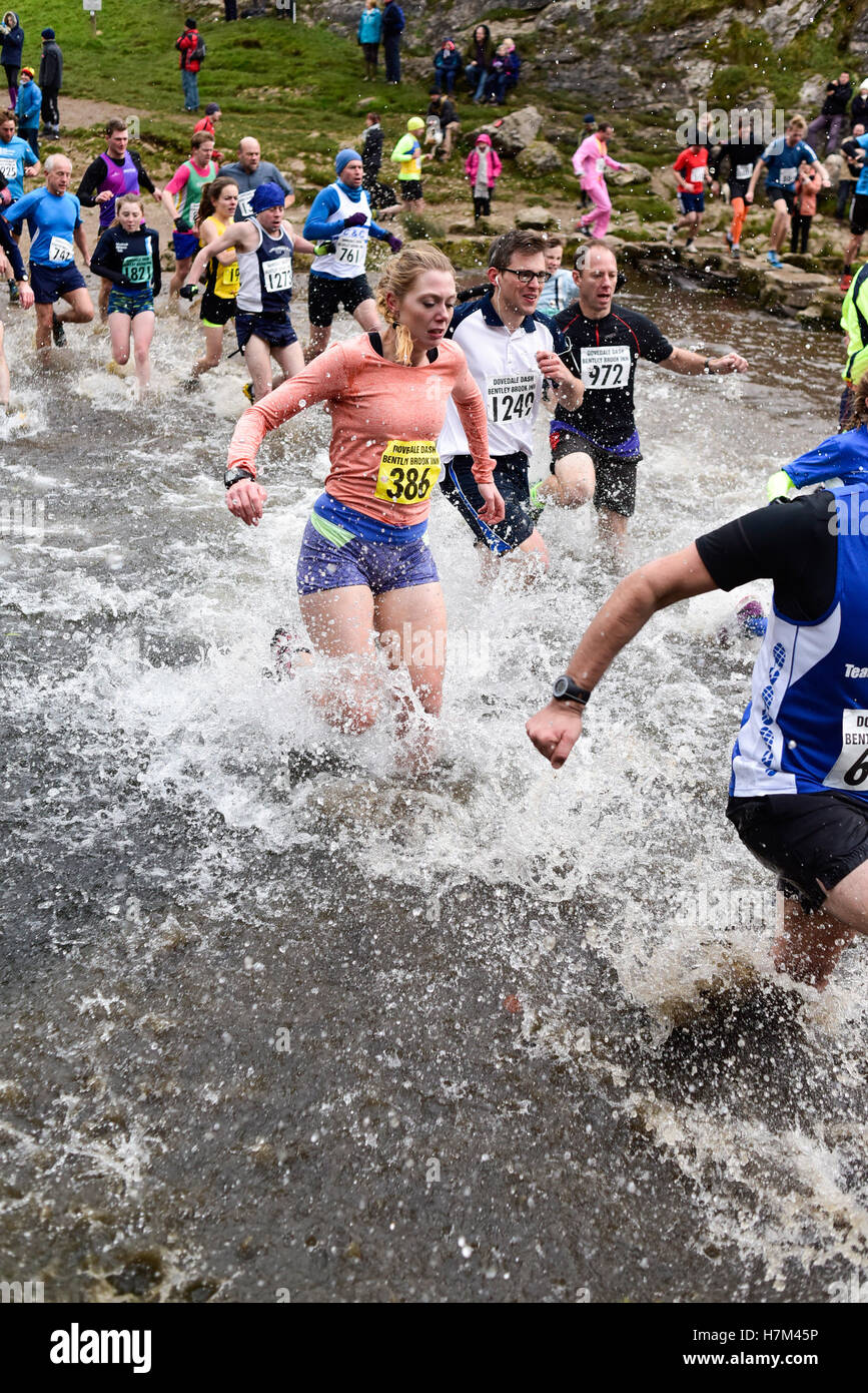 Dovedale, Derbyshire, Royaume-Uni. 06 Nov, 2016. Coureurs de tous les stannards ont pris part à la course de cross country de 4 3/4 mile, géré par 1200 à 1400 . En profitant de la vue sur Thorpe cloud et traversée de la rivière Dove le long de la route.Les conditions météorologiques étaient difficiles, vent fort, la pluie, le grésil et le froid . Crédit : Ian Francis/Alamy Live News Banque D'Images