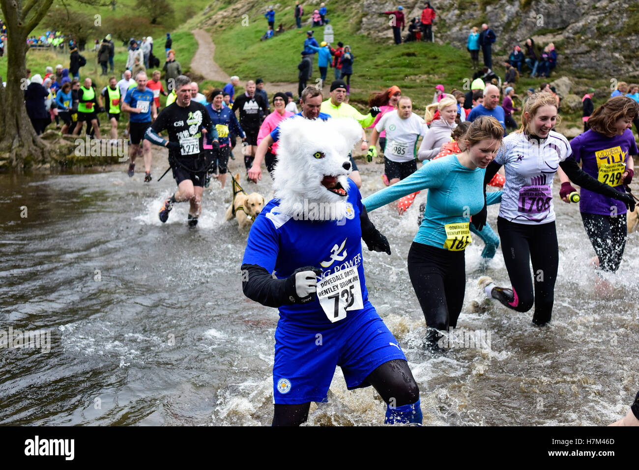 Dovedale, Derbyshire, Royaume-Uni. 06 Nov, 2016. Coureurs de tous les stannards ont pris part à la course de cross country de 4 3/4 mile, géré par 1200 à 1400 . En profitant de la vue sur Thorpe cloud et traversée de la rivière Dove le long de la route.Les conditions météorologiques étaient difficiles, vent fort, la pluie, le grésil et le froid . Crédit : Ian Francis/Alamy Live News Banque D'Images