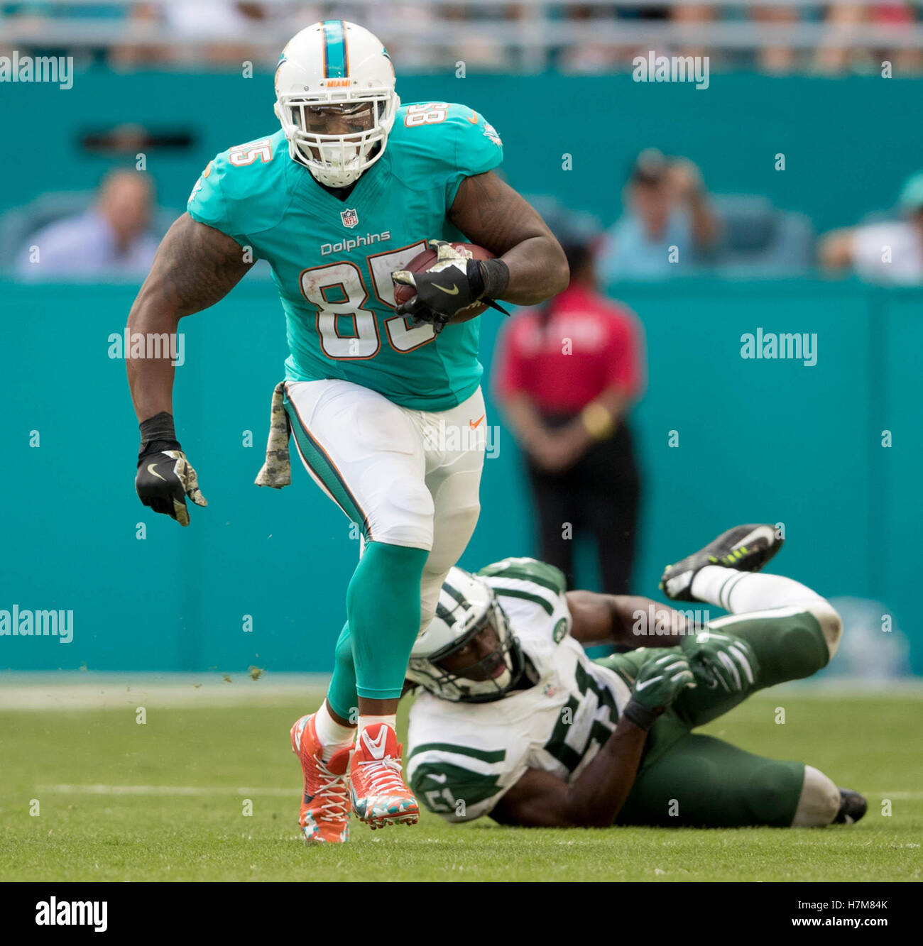 Miami Gardens, Florida, USA. Nov 6, 2016. Miami Dolphins tight end Dominique Jones (85) au-delà de New York Jets en dehors de secondeur Julian Stanford (51) au Hard Rock Stadium de Miami Gardens, en Floride le 6 novembre 2016. Credit : Allen Eyestone/Le Palm Beach Post/ZUMA/Alamy Fil Live News Banque D'Images