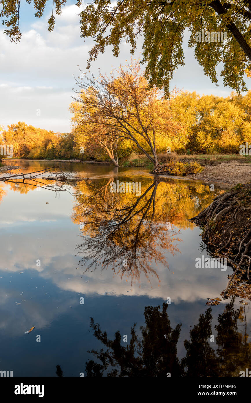 La rivière de Boise en Idaho avec arbres automne reflet dans l'eau Banque D'Images