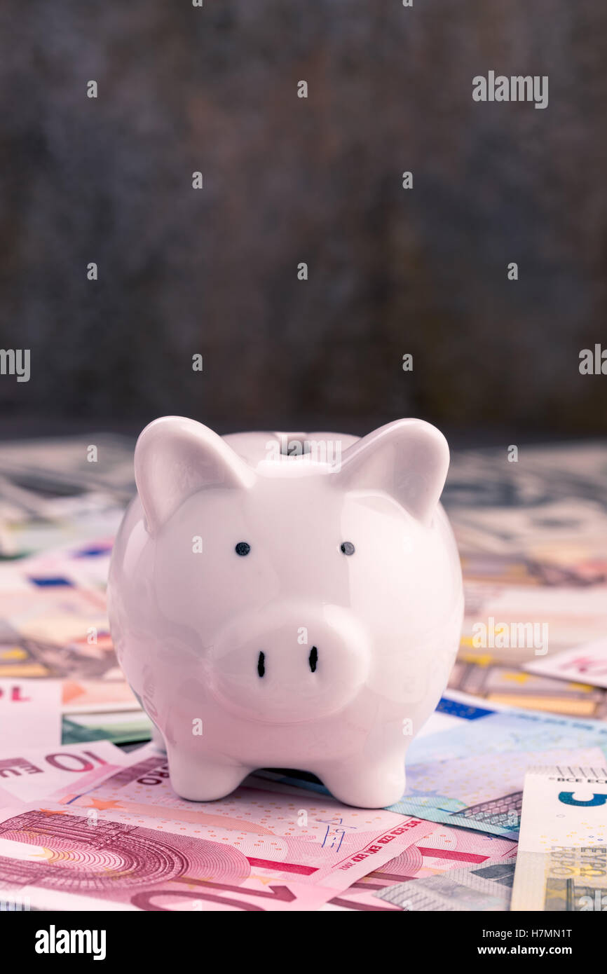 Tirelire sur les billets en euros avec copie espace vertical en arrière-plan Banque D'Images