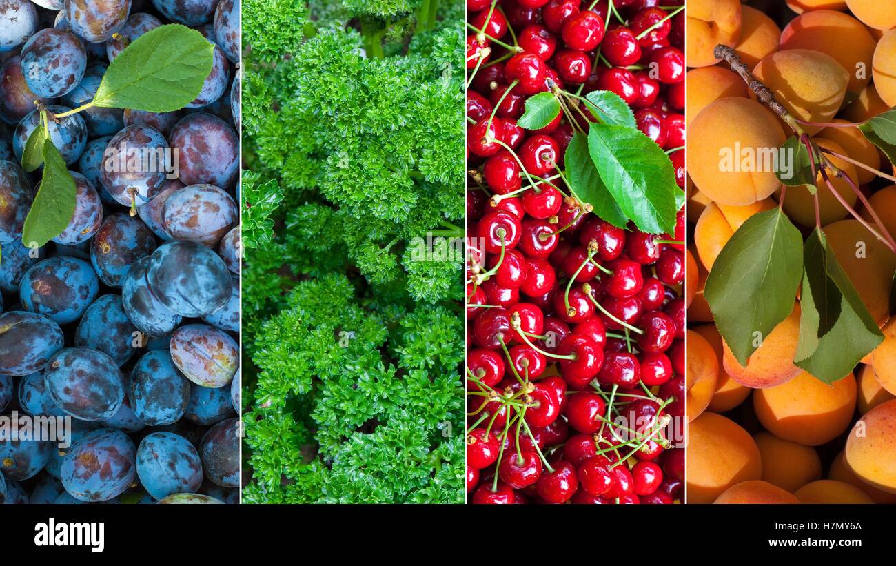 Couleurs de fruits Banque de photographies et d’images à haute ...