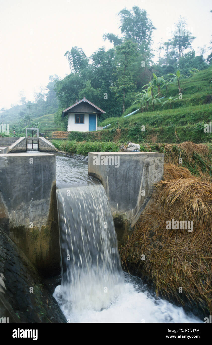 L'Indonésie Java, petite centrale hydroélectrique pour l'électrification rurale, terrasse de riz, solution hors réseau Banque D'Images