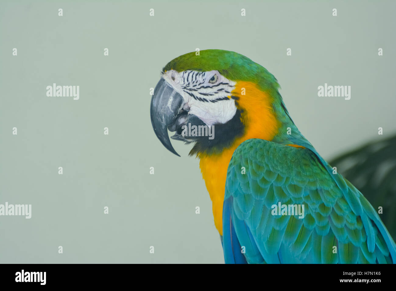 Vue intérieure de Kuala Lumpur, Malaisie Parc des Oiseaux Banque D'Images
