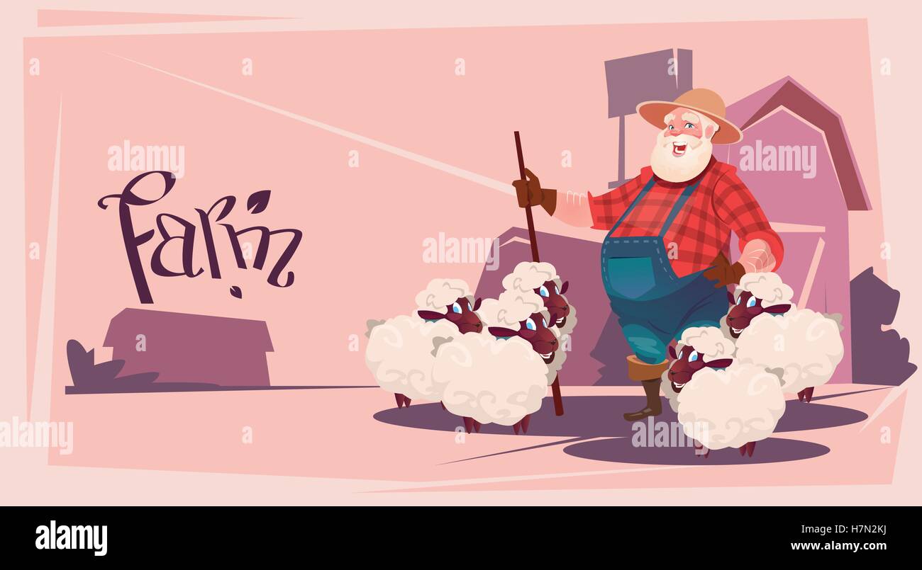 Laine de moutons d'élevage fermier Farm Télévision Vector Illustration Illustration de Vecteur