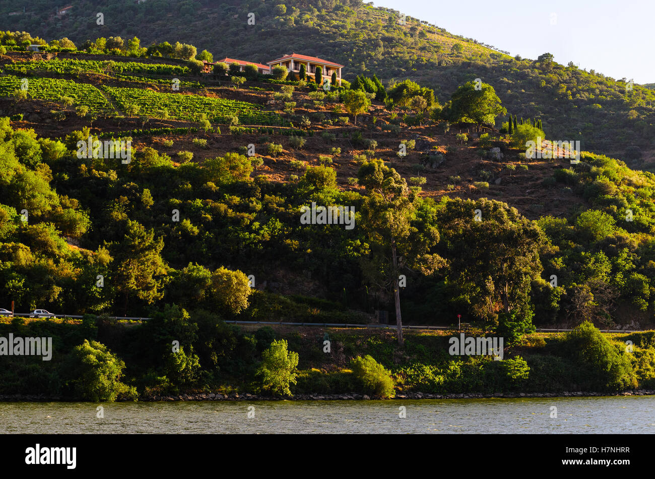 La vallée de la rivière Douro, Portugal Banque D'Images