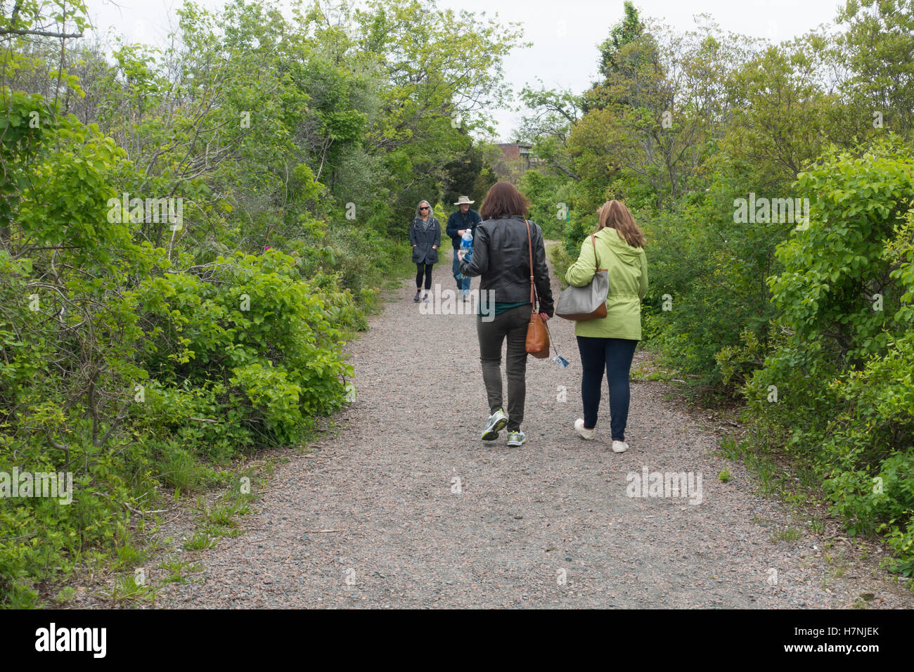Jamaica Bay Wildlife Refuge Queens NYC Banque D'Images