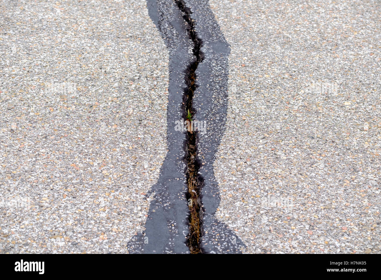 Une fissure dans une route asphaltée causé par le cycle gel/dégel, à Wichita, Kansas, États-Unis. Banque D'Images