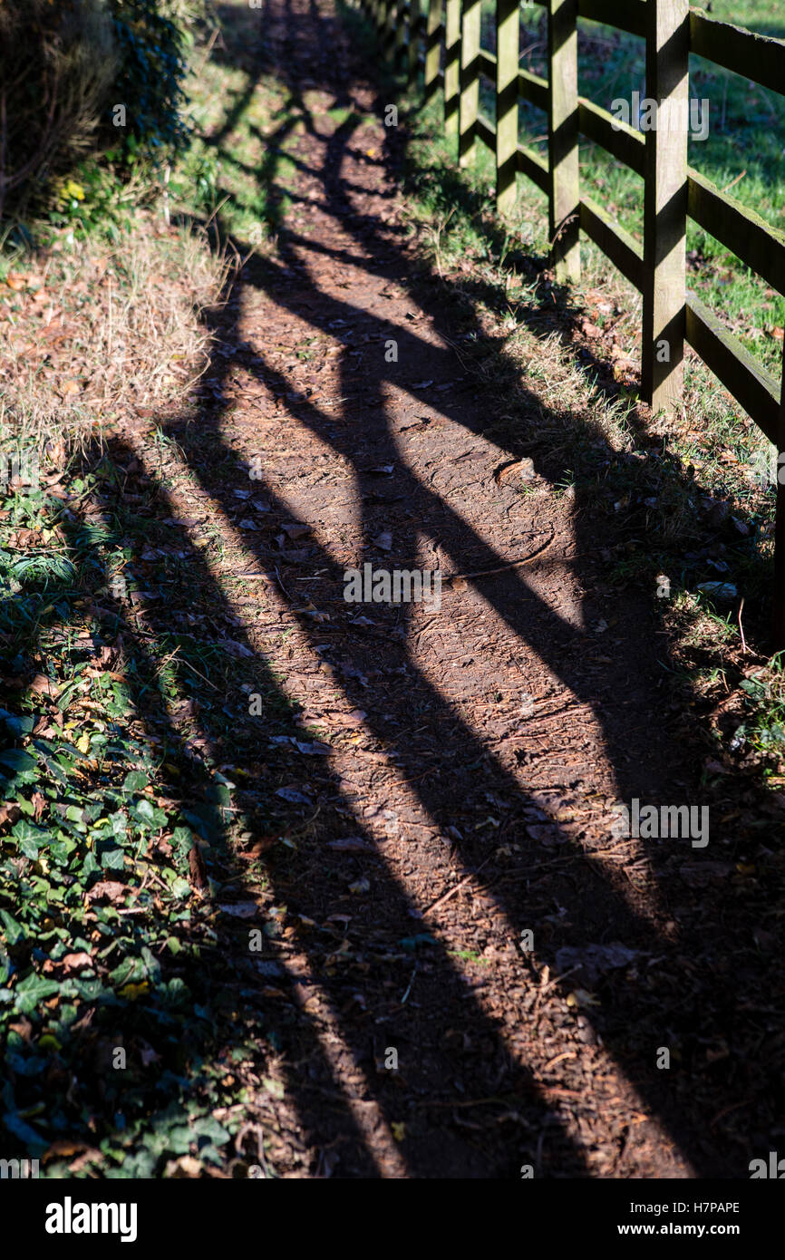 Les feuilles mortes dispersés à travers un chemin de pays par l'ombre d'une clôture en bois plane sur le terrain. Banque D'Images