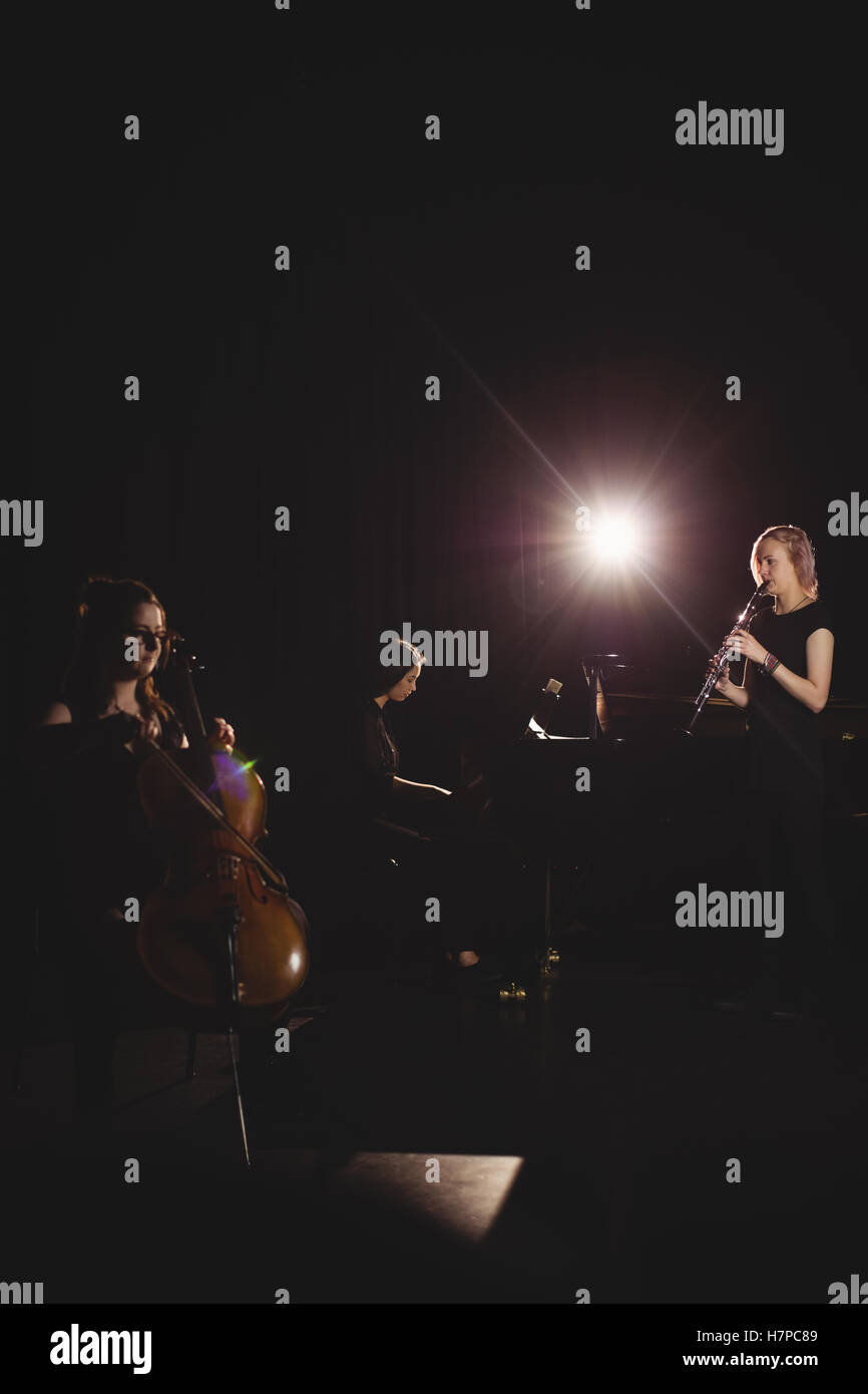 Les femmes jouant différents instrument Banque D'Images