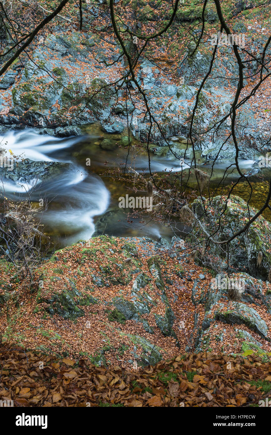 Rochers de la solitude sur la Gorge de la rivière North Esk dans Glen Esk. Banque D'Images