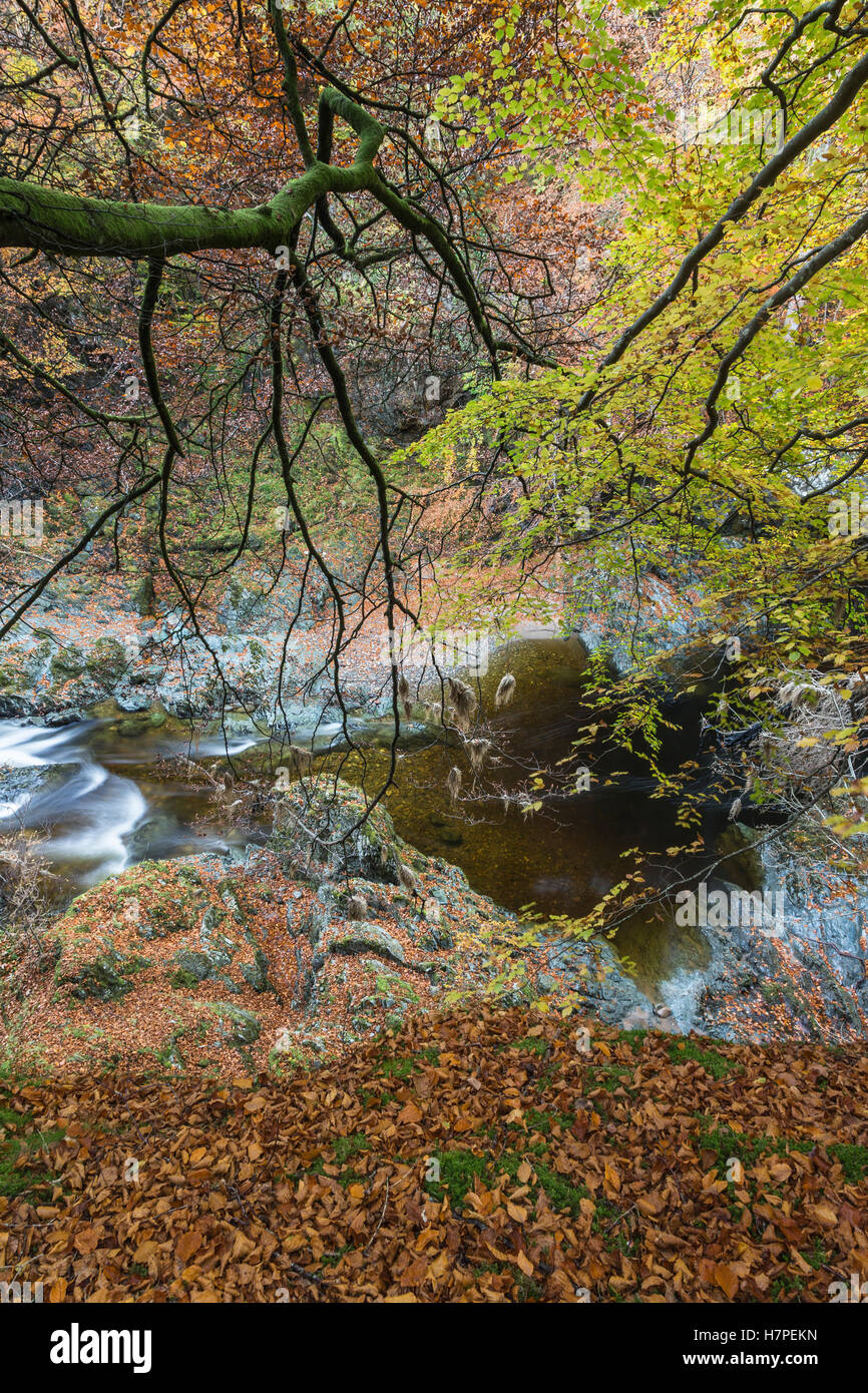 Rochers de la solitude sur la Gorge de la rivière North Esk dans Glen Esk. Banque D'Images