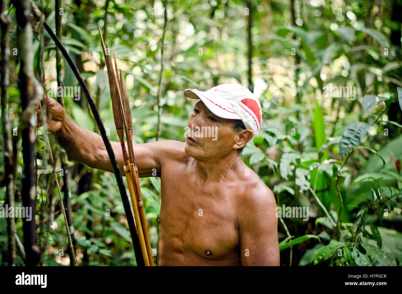 Membre de la tribu Matses la chasse avec son arc et sa flèche , Rio Galvez ,Matses reserva,forêt amazonienne, le Pérou Banque D'Images