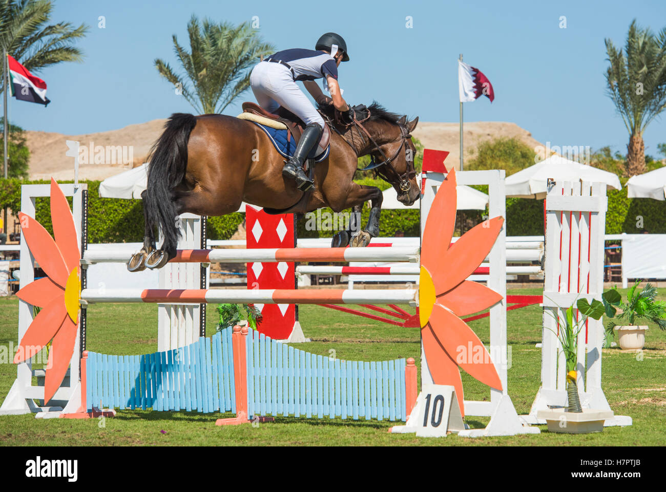 Le cheval et le cavalier en compétition dans un concours de saut d'Obstacles Sports équestres sports obstacle saute au-dessus de l'extérieur Banque D'Images