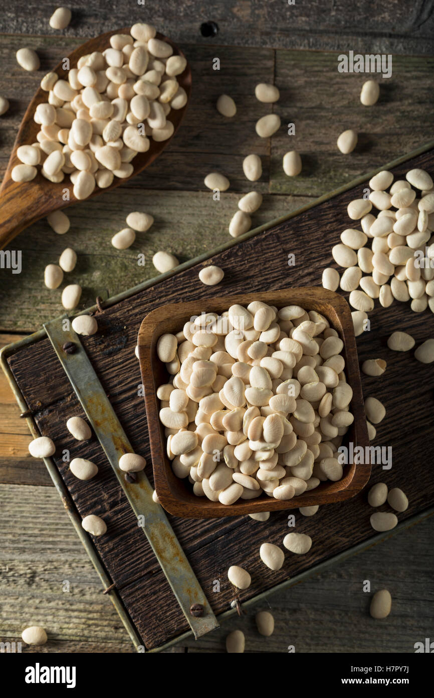 Blanc de chaux séchée bio pour bébé Haricots prête pour la cuisson Banque D'Images