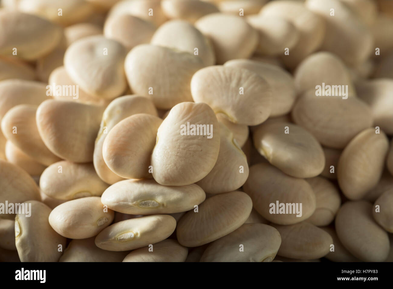 Blanc de chaux séchée bio pour bébé Haricots prête pour la cuisson Banque D'Images