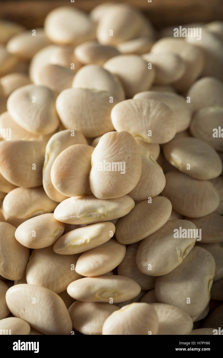 Blanc de chaux séchée bio pour bébé Haricots prête pour la cuisson Banque D'Images