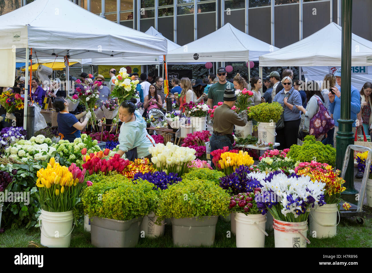 Samedi Marché de producteurs au printemps, Portland State University, Portland, OR, USA Banque D'Images
