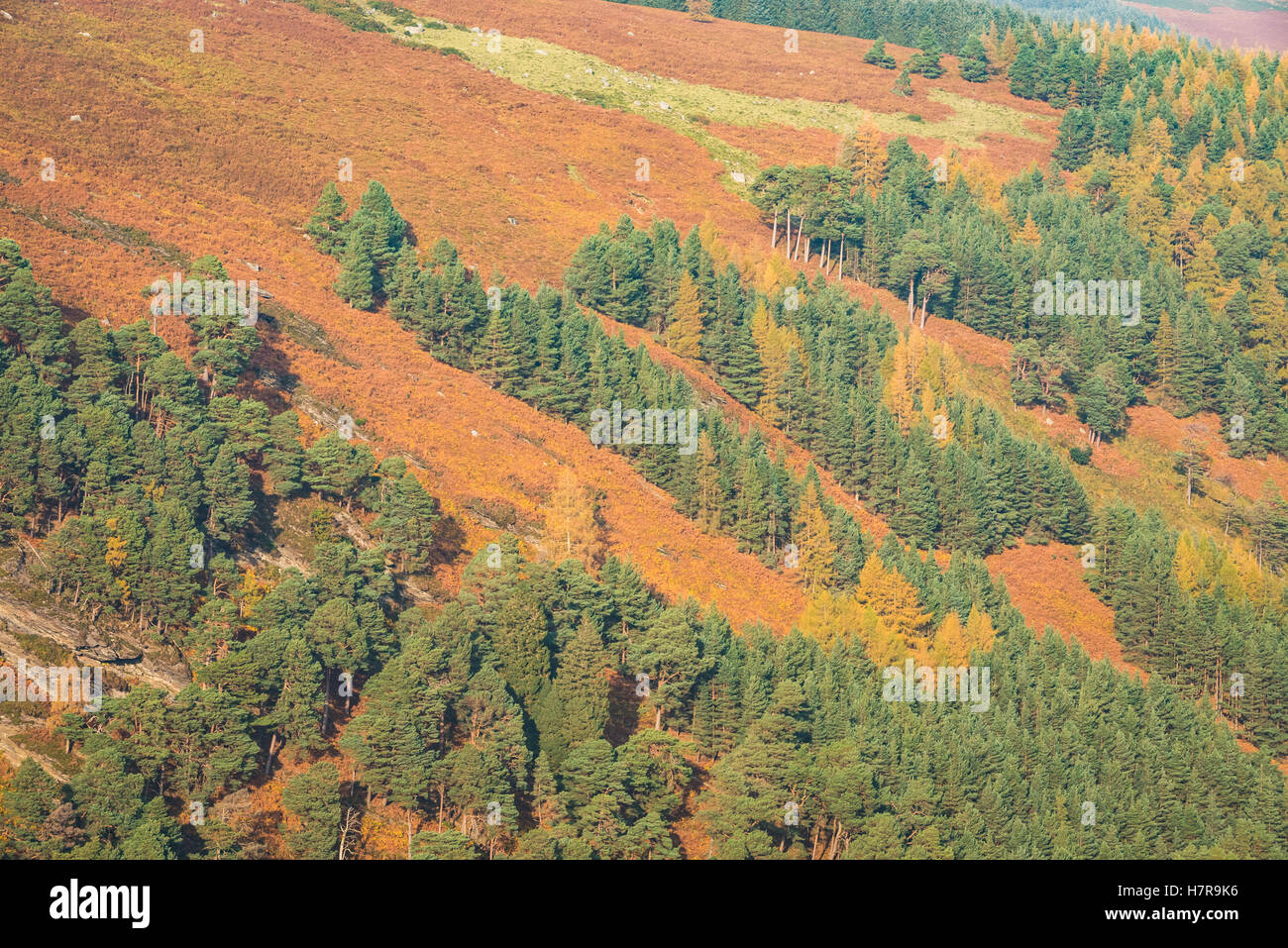 Montagnes de Wicklow, Irlande Banque D'Images