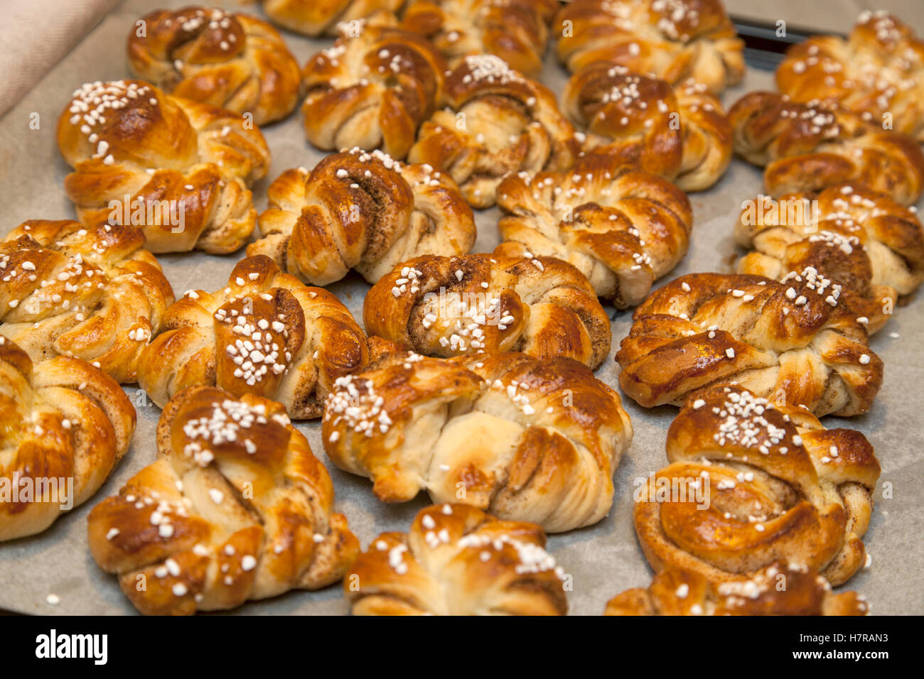 Brioches à la cannelle sur une tôle à biscuits Banque D'Images