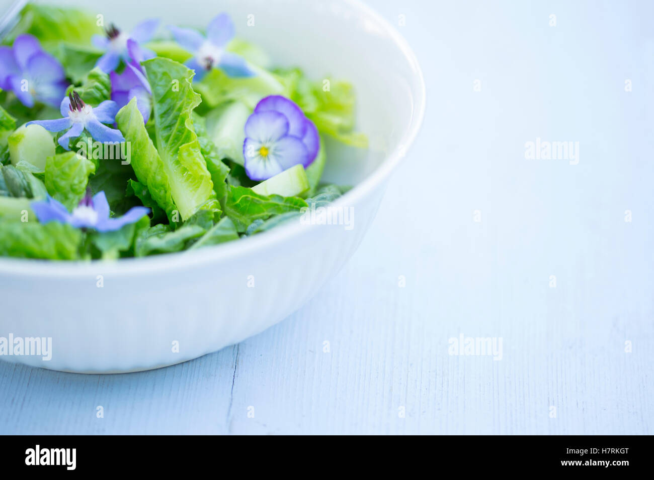 Une salade verte avec gastronomique bourrache bleu et violet fleur bleu sur un fond peint board ; New Westminster, Colombie-Britannique, Canada Banque D'Images