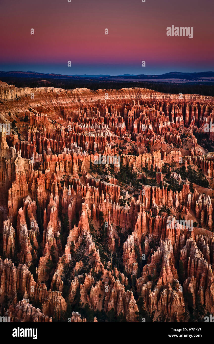 Bryce Canyon National Park, Utah, United States of America Banque D'Images