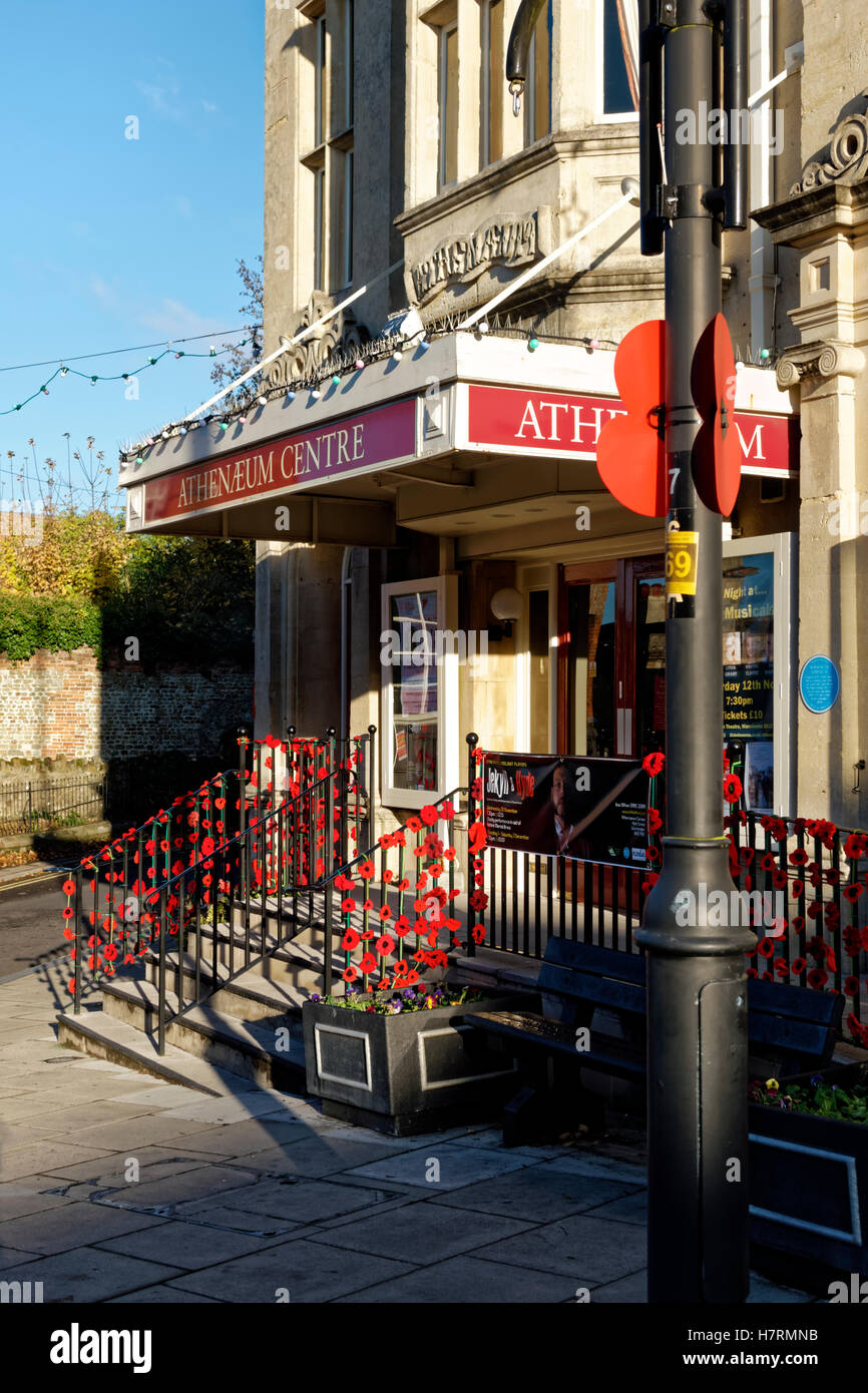 Warminster, Wiltshire, Royaume-Uni. 7Th Nov 2016. Tricoté main coquelicots ornent les grilles du Centre d'Athenaeum à Warminster High Street, Wiltshire, pour commémorer les soldats tombés et du Commonwealth Britannique Crédit : Andrew Harker/Alamy Live News Banque D'Images