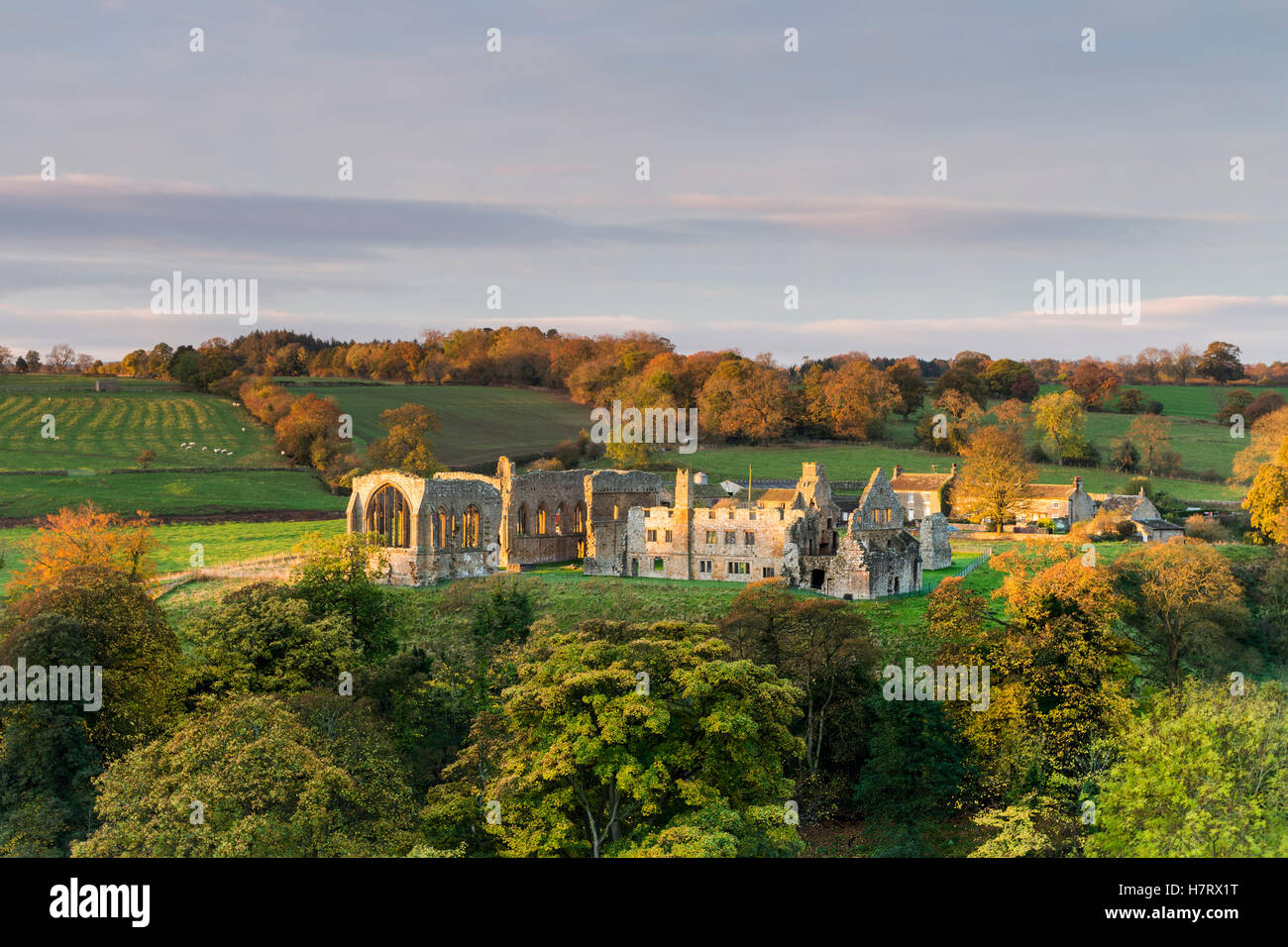 Abbaye Egglestone, Barnard Castle, comté de Durham, Royaume-Uni Teesdale. Mardi 8 novembre 2016, UK Weather. Un démarrage à froid de la journée comme les premiers rayons du soleil levant grève les ruines de l'abbaye Egglestone près de Barnard Castle dans le nord-est de l'Angleterre. La prévision est pour la neige et d'arriver du jour au lendemain avec les zones de collines au-dessus de 400 mètres d'avoir attendu jusqu'à 15cm. Crédit : David Forster/Alamy Live News Banque D'Images