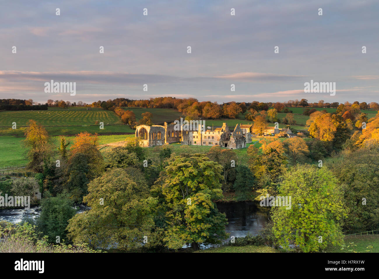 Abbaye Egglestone, Barnard Castle, comté de Durham, Royaume-Uni Teesdale. Mardi 8 novembre 2016, UK Weather. Un démarrage à froid de la journée comme les premiers rayons du soleil levant grève les ruines de l'abbaye Egglestone près de Barnard Castle dans le nord-est de l'Angleterre. La prévision est pour la neige et d'arriver du jour au lendemain avec les zones de collines au-dessus de 400 mètres d'avoir attendu jusqu'à 15cm. Crédit : David Forster/Alamy Live News Banque D'Images